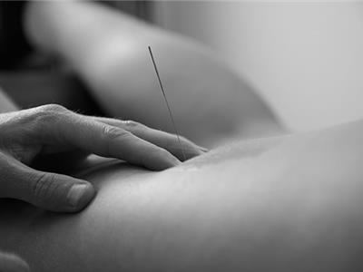 Dry Needling Impakt Kiné, Essen - Wuustwezel